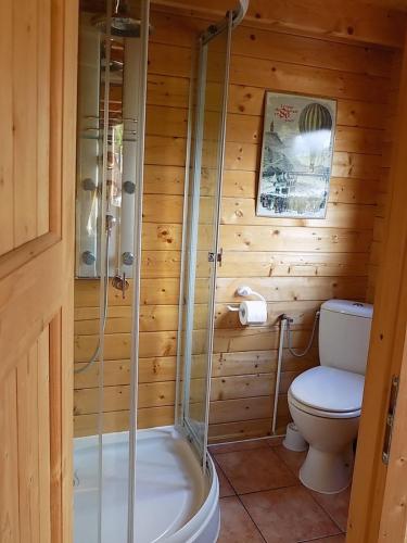 a wooden bathroom with a toilet and a shower at Himmelpfort Ferienhäuser am Eichberg in Fürstenberg-Havel