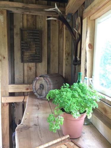 a wooden table with a potted plant on it at Torgu Royal Guesthouse in Iide