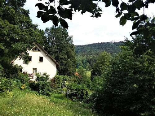 une maison au milieu d'un champ arboré dans l'établissement Ferienwohnung Ringbergblick, à Suhl