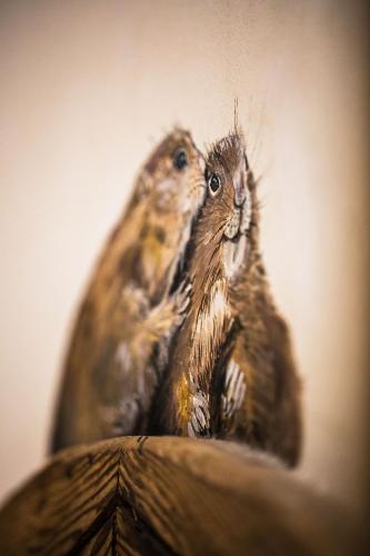 two birds are standing on top of a table at La Bouitte - Hôtel Relais & Châteaux in Saint-Martin-de-Belleville