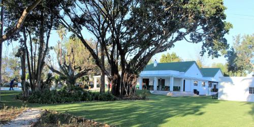 a white house with a tree in the yard at Green Olive Guesthouse in Robertson