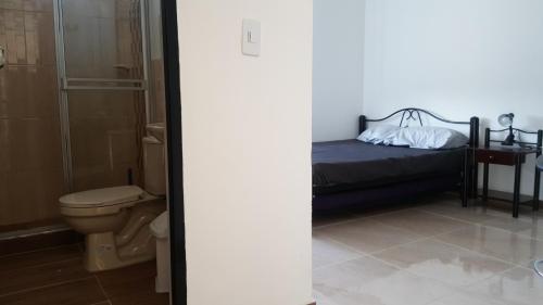 a bedroom with a bed and a toilet and a shower at Condominio Santa Hagia Sofia - Casa y 2 apartamentos in Flandes