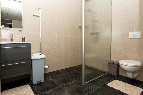 a bathroom with a toilet and a glass shower at Camping en vakantiewoning 'Ut Tumpke' in Kessel