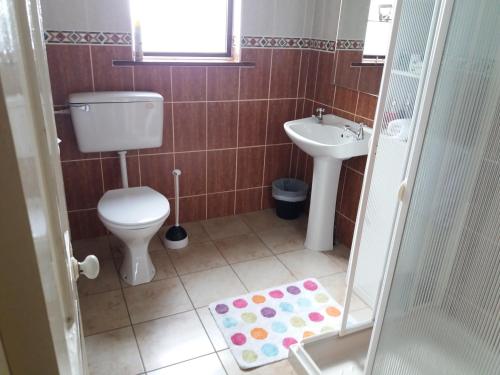 een kleine badkamer met een toilet en een wastafel bij Helens Self Catering in Castlebar