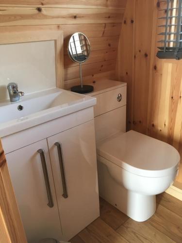 a bathroom with a toilet and a sink at Acheninver Hostel in Achiltibuie