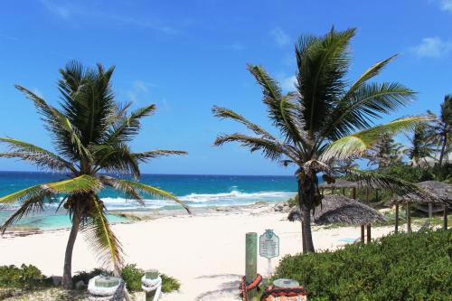 a beach with two palm trees and the ocean at Stella Maris Resort Club in Stella Maris