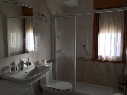 a bathroom with a shower and a toilet and a sink at Casa Rural Casa Juli in Arguedas