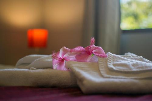 a pink flower sitting on top of towels at Aldeia das flores in Pipa