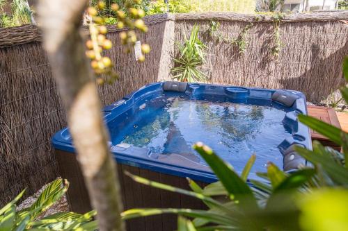 a small pool of water in a garden at Bayhaven Lodge in Byron Bay