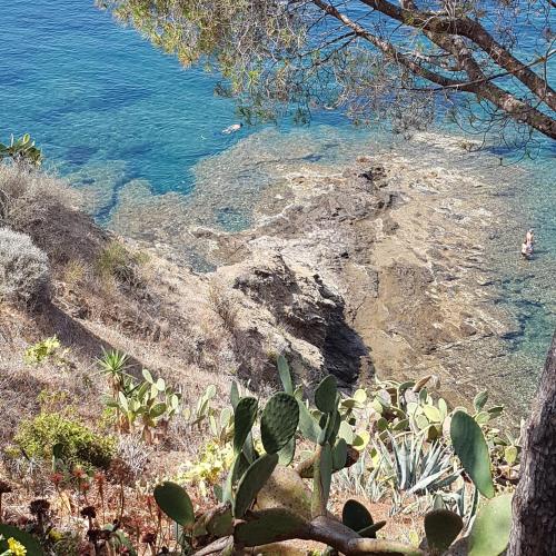 a body of water with a person swimming in it at Rosa dei Venti in Capoliveri