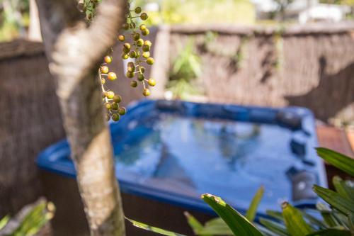a tree with a plant in front of a pool at Bayhaven Lodge in Byron Bay