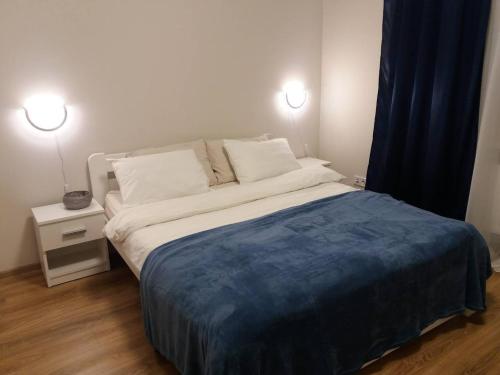 リヴィウにあるSkelnaia Apartmentのベッドルーム1室(大型ベッド1台、照明2つ付)