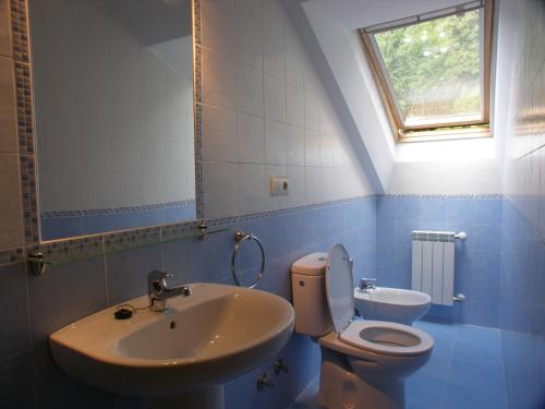 a bathroom with a sink and a toilet and a window at Apartamentos Puente La Molina in Carreña de Cabrales