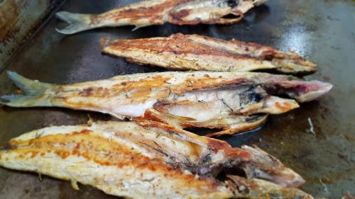 a group of dead fish sitting on a pan at ROOMS balani in Shkodër