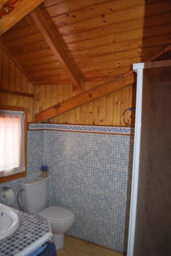 a bathroom with a toilet and a sink at Casa Telma y Hugo in Alcañiz