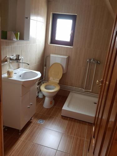 a bathroom with a toilet and a sink and a shower at Casa Veves in Ranca
