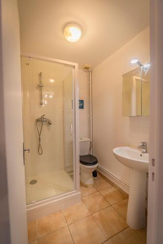 une salle de bain avec une douche, des toilettes et un lavabo dans l'établissement DUPLEX dans CENTRE VILLE (GARE;PARKING;WIFI), à Troyes