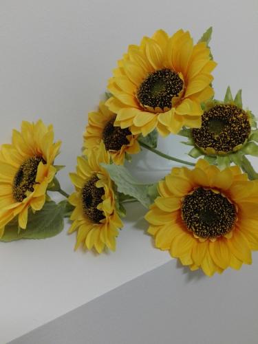 een groep gele zonnebloemen in een vaas bij Girasole Grazioli 47 in Trento