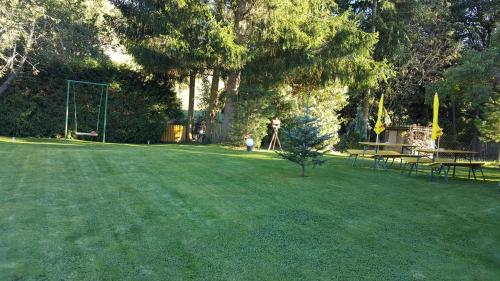a large grassy yard with a park with a swing at ferienhausfindling St.Lambrecht in Sankt Lambrecht
