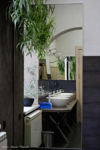 a bathroom with a row of sinks with plants at Coin Apartments & Poshtel in Chernivtsi