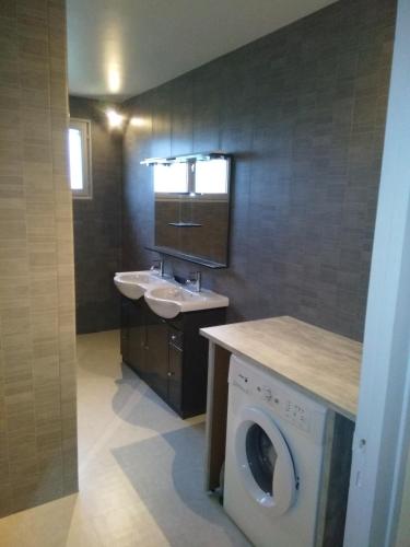 une salle de bain avec une machine à laver et un lavabo dans l'établissement La maison de Jacques, à Villiers-en-Morvan