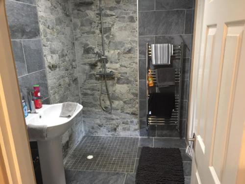 a bathroom with a shower and a sink and a toilet at bailiffs cottage annex in Doncaster