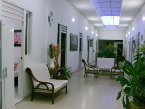 a corridor of a hospital with chairs and plants at Hotel Nicole in Girardot