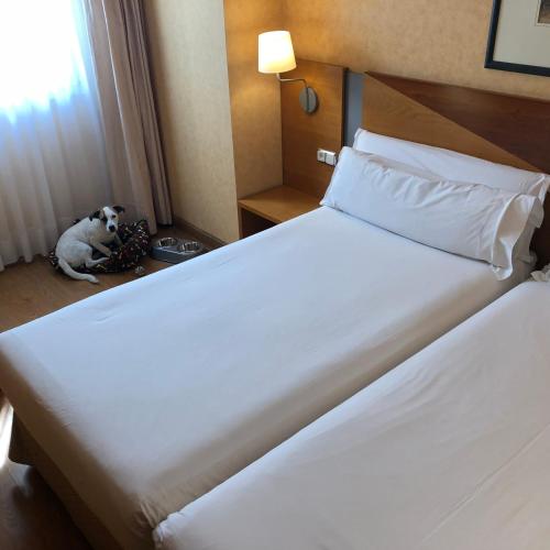 Oca Villa de Avilés Hotelにあるベッド