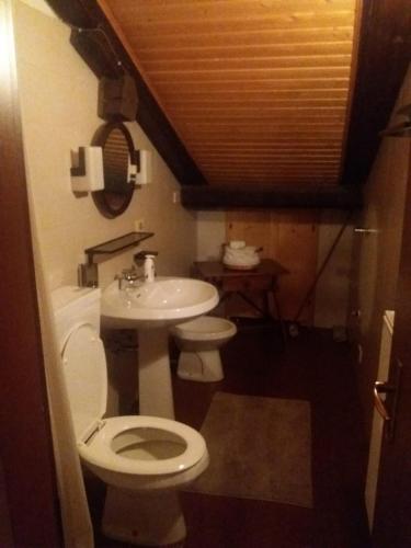 a bathroom with a white toilet and a sink at Maso del Capitel in Commezzadura