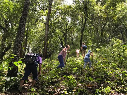 a group of people walking on a trail in the woods at Ashi Guesthouse Chiangdao in Chiang Dao