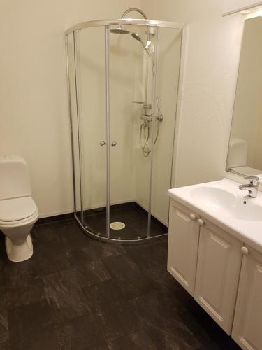 La salle de bains est pourvue d'une douche, de toilettes et d'un lavabo. dans l'établissement Solbakken 27 Apartment, à Lyngseidet