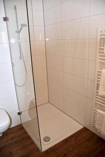 a glass shower in a bathroom with a toilet at Busses Guesthouse in Freiburg im Breisgau