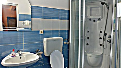 a bathroom with a sink and a toilet and a shower at Picnic Panzio in Lunca de Sus