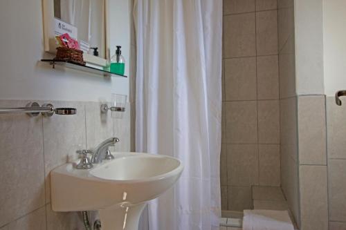 y baño con lavabo y ducha. en Hotel Santa Eulalia II en Miramar