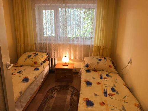 ビエレにあるPokoje Gościnne Pod Magnoliąの窓付きの小さな部屋のベッド2台