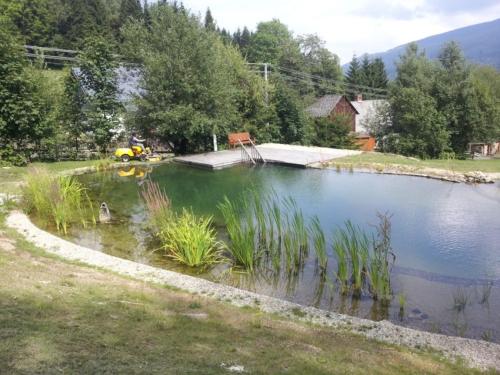 a pool of water with plants in a yard at Chalupa Continental in Ostružná
