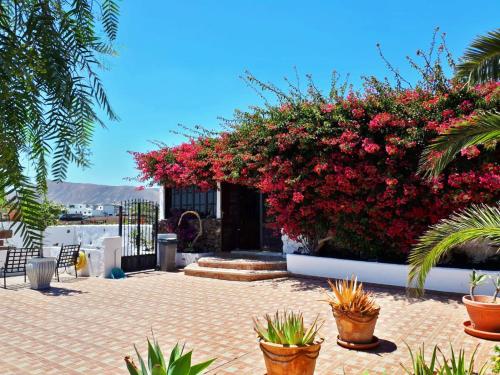 a building with a large bush of pink flowers at Casa Tara - 5 bedroom, 4 bathroom villa with private pool in Mácher