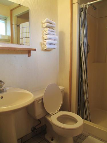 a bathroom with a toilet and a sink and a shower at Newburg Inn Motel in New Hamburg