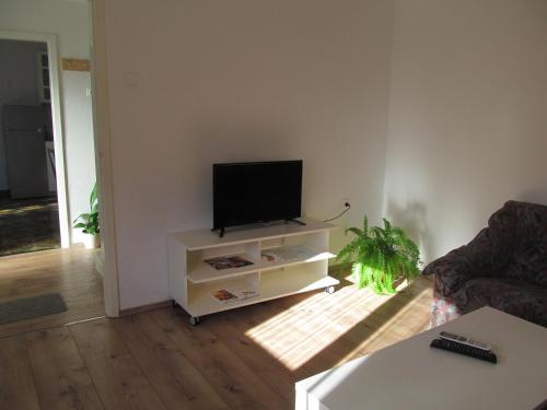 TV a/nebo společenská místnost v ubytování adrian