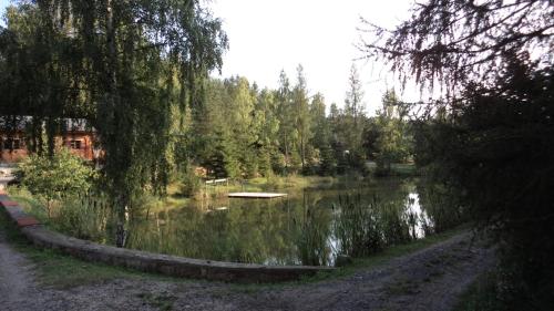 a view of a lake with a boat in the water at Bacówka Noclegi in Sierpnica