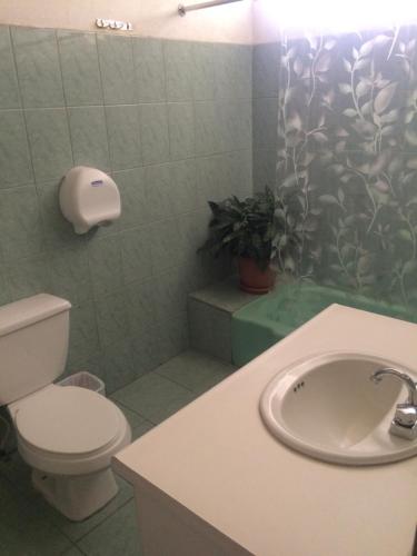 Ett badrum på Hostal Los Lagos Inn