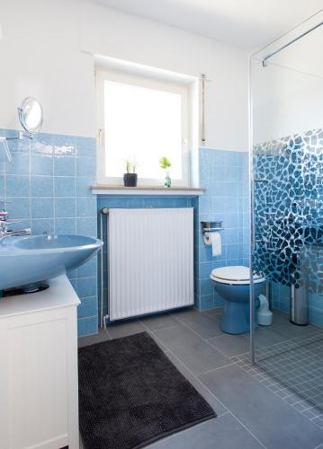 a blue bathroom with a toilet and a shower at Gästehaus „bei Pohls“ in Bruchhausen-Vilsen