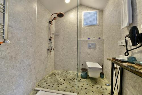 un bagno con doccia e WC al suo interno di Kartepe Köşkü a Kartepe