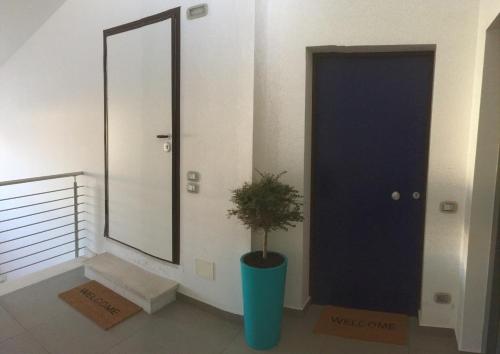 a hallway with a blue door and a potted plant at L`ATTICO Apartments in Civitanova Marche