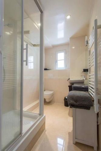 une salle de bain avec une douche en verre et des toilettes dans l'établissement Luxurious Duplex - Top of Montmartre, à Paris