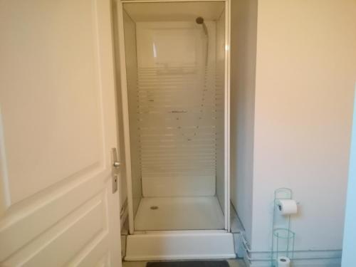 uma cabina de duche ao nível do chão com uma porta de vidro na casa de banho em Studio mansardé à Oyonnax em Oyonnax