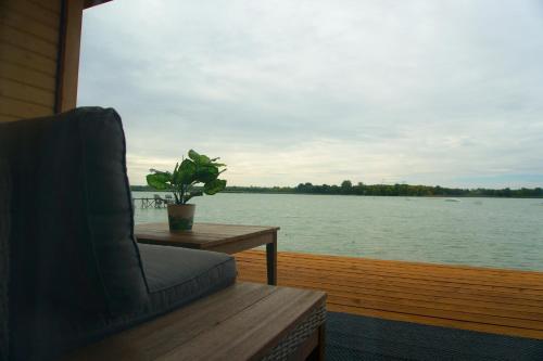 a chair and a table with a potted plant on a boat at Halfarock Vízi-Erdei Apartmanház in Levelek