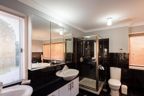 a bathroom with a sink and a toilet and a mirror at Land Of Lost Treasure in Maleny