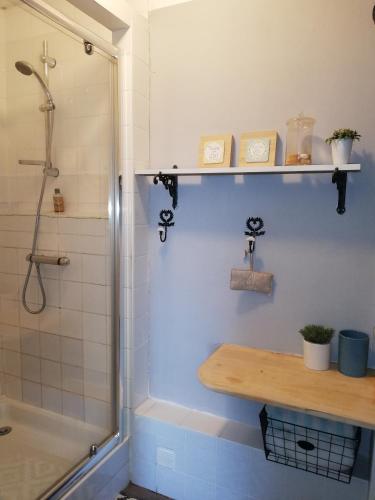 La salle de bains est pourvue d'une douche et d'une étagère en bois. dans l'établissement Chambre d'hôte équestre Au petit bonheur, à Châteldon