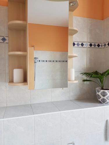 ein Bad mit einem Waschbecken und einem Spiegel in der Unterkunft Kleine gemütliche Ferienwohnung in Dresden